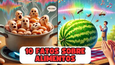 10 Fatos sobre alimentos que vão mexer com a sua cabeça! 1